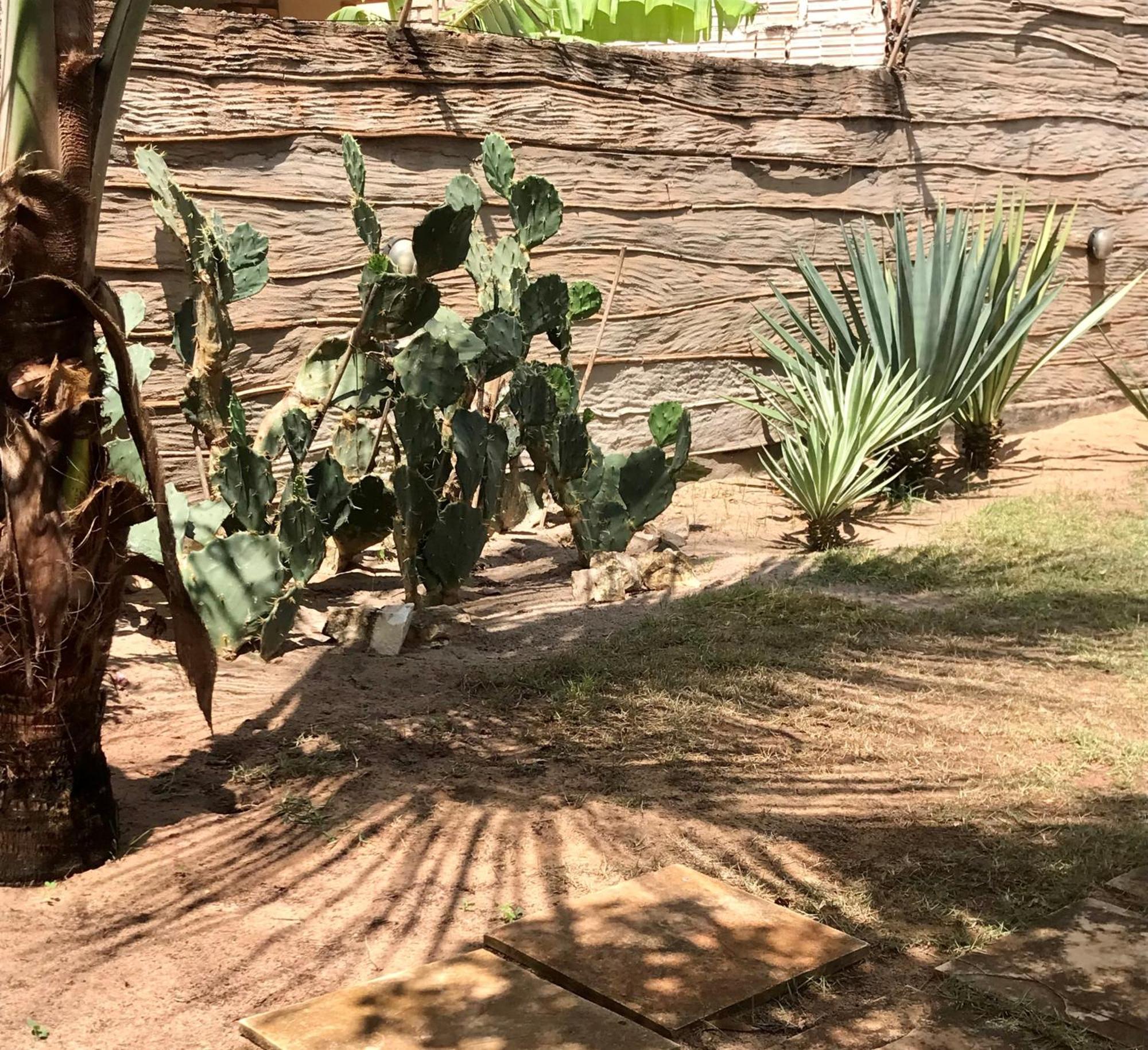 ساو ميجيل دو غوستوسو Casa Belamar المظهر الخارجي الصورة